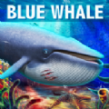 蓝鲸生存模拟器2022手机版