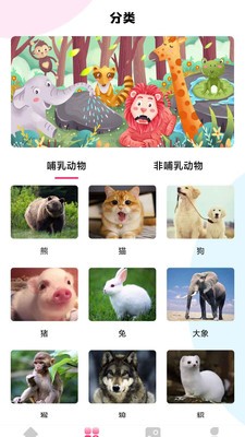 最强动物园app v1.0
