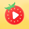 鹿玩番茄短视频安卓版