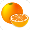柑橘阅读安卓版