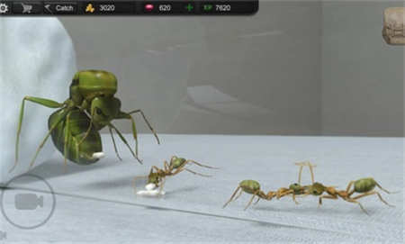 蚂蚁模拟大亨安卓版