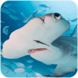 锤头鲨模拟器官方版