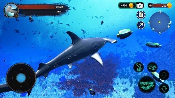 锤头鲨模拟器官方版