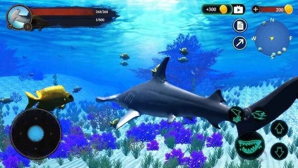 锤头鲨模拟器安卓版