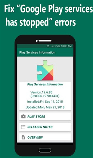 Play Services Info安卓版